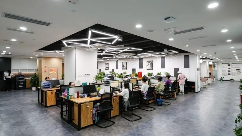 小标题：一、专业分设的必要性